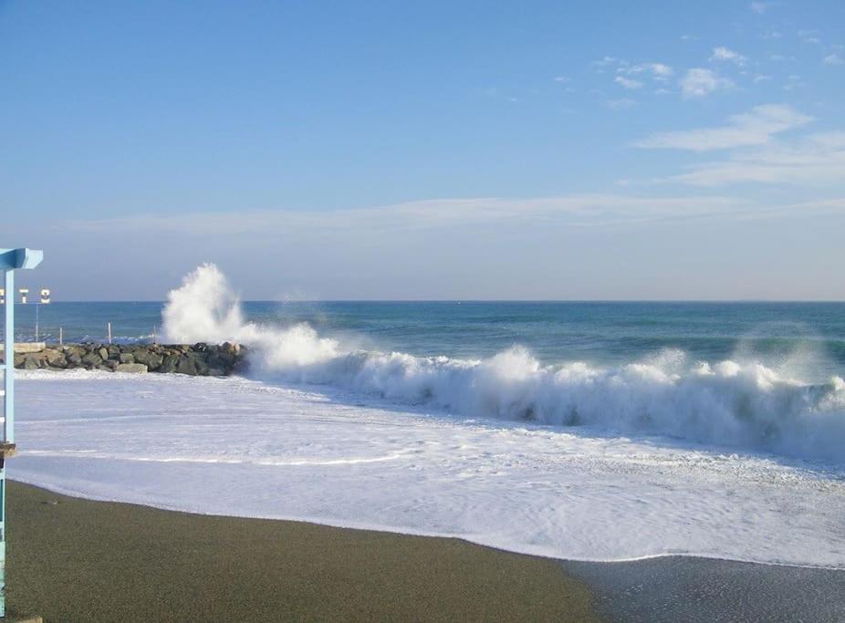 דירות אלביסולה מרינה Le Finestre Sul Mare מראה חיצוני תמונה